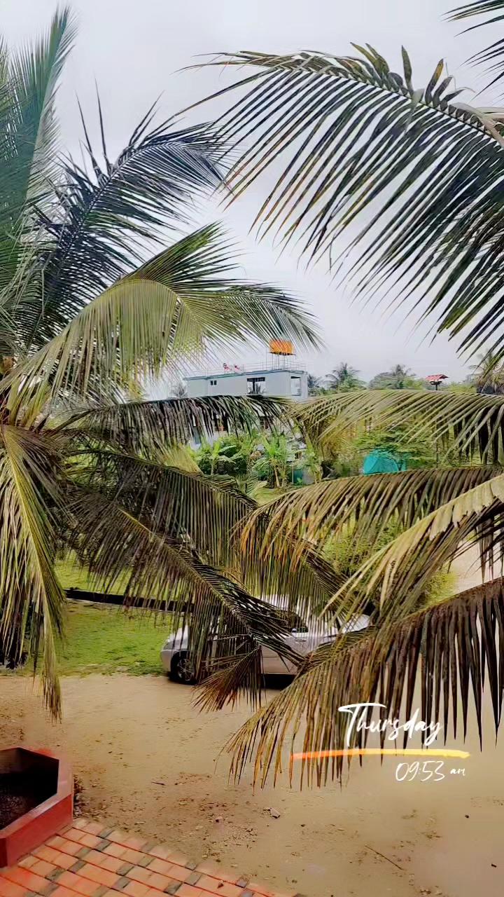 Coorg Homestay Resort – photo 2