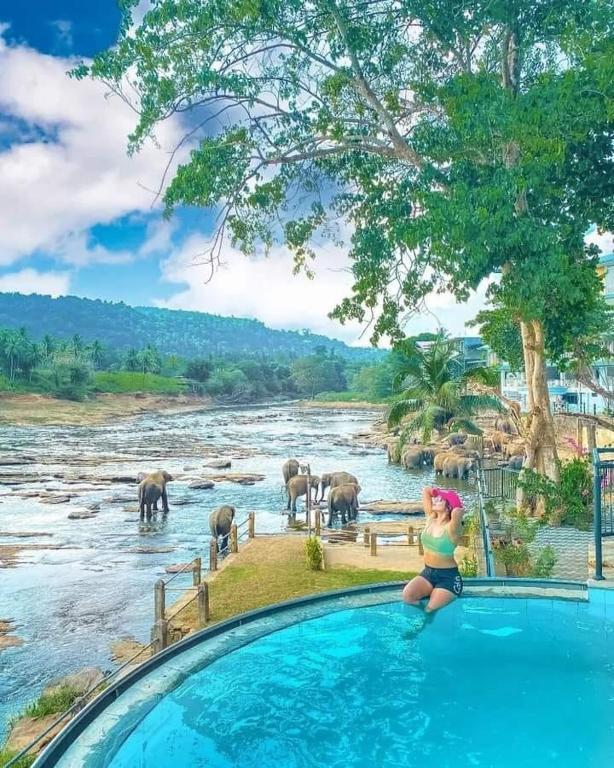 Hotel Elephant Bay Pinnawala – photo 4