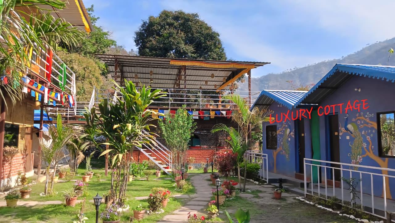 Jungle Lore Camp Resort & Retreat – photo 1