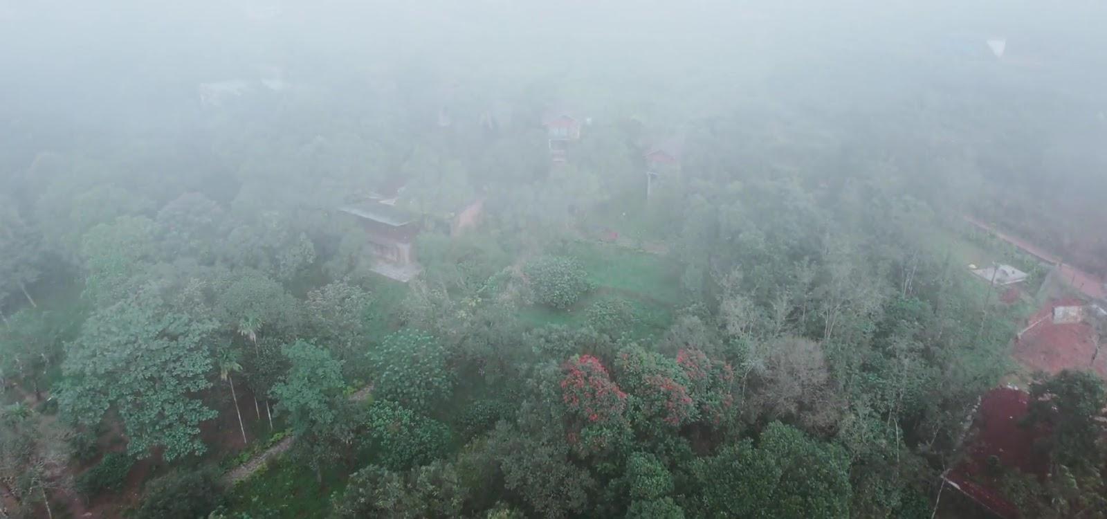 Barsati Ranches – photo 2