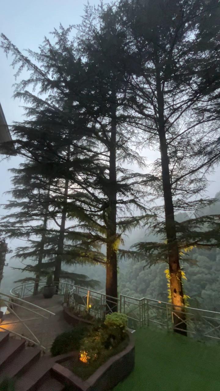 Yog Wellness Resort & Spa by Amritara – photo 2