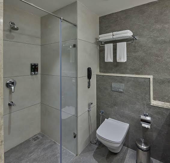 Grand Continent (sarovar Portico) – photo 4