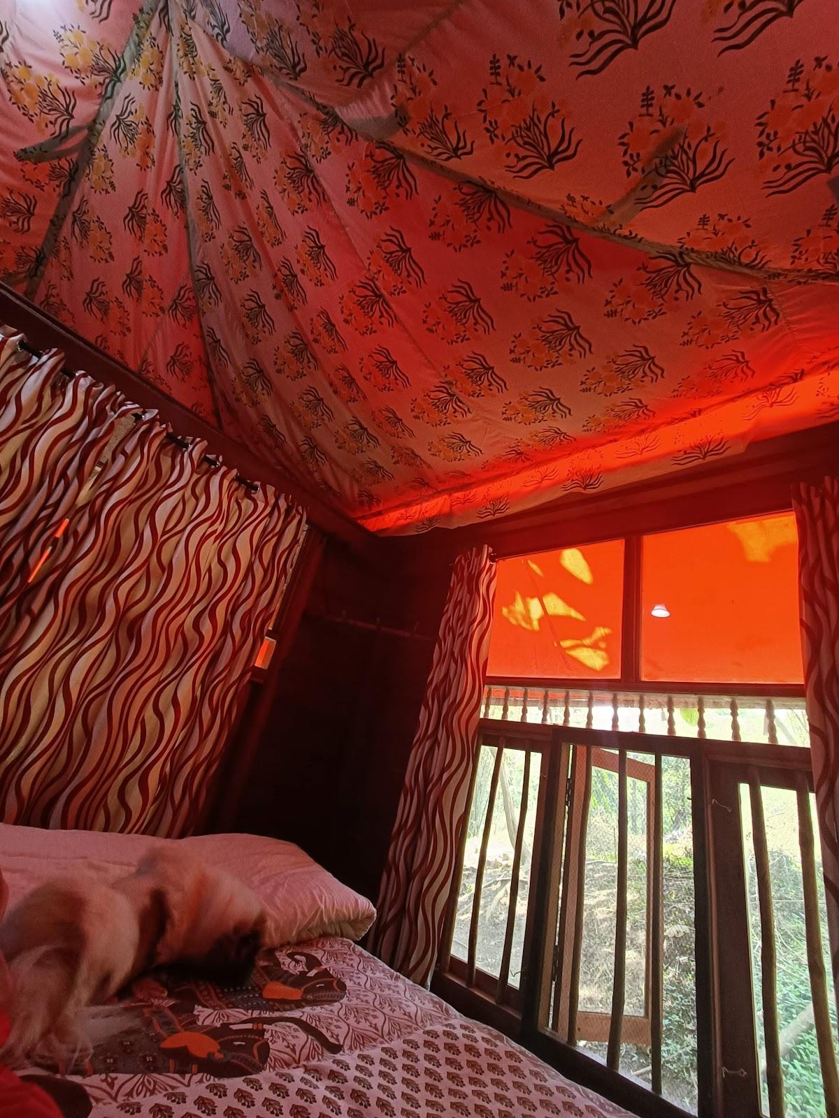 Pugmarks Jungle Resort – photo 3