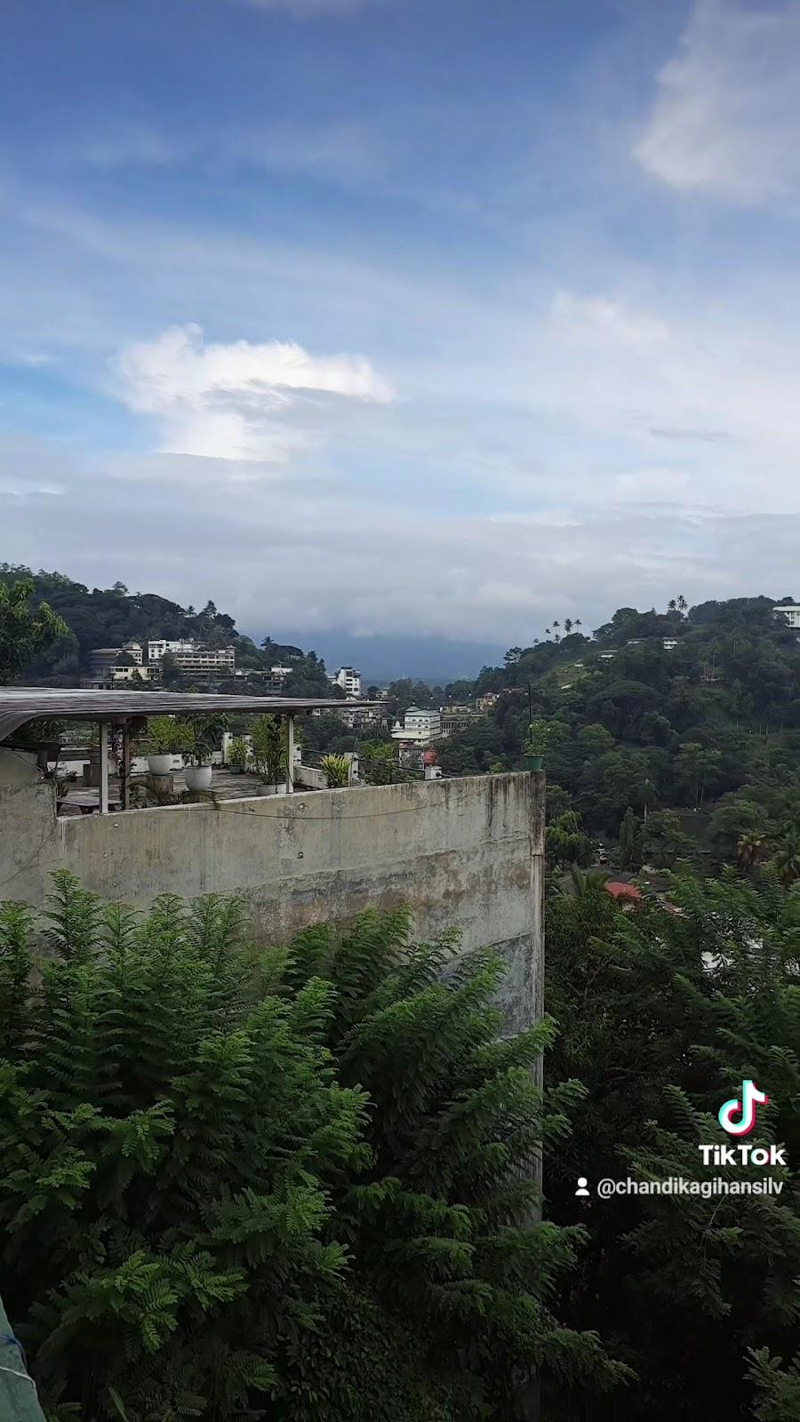 Sunbloom Hostel – photo 2