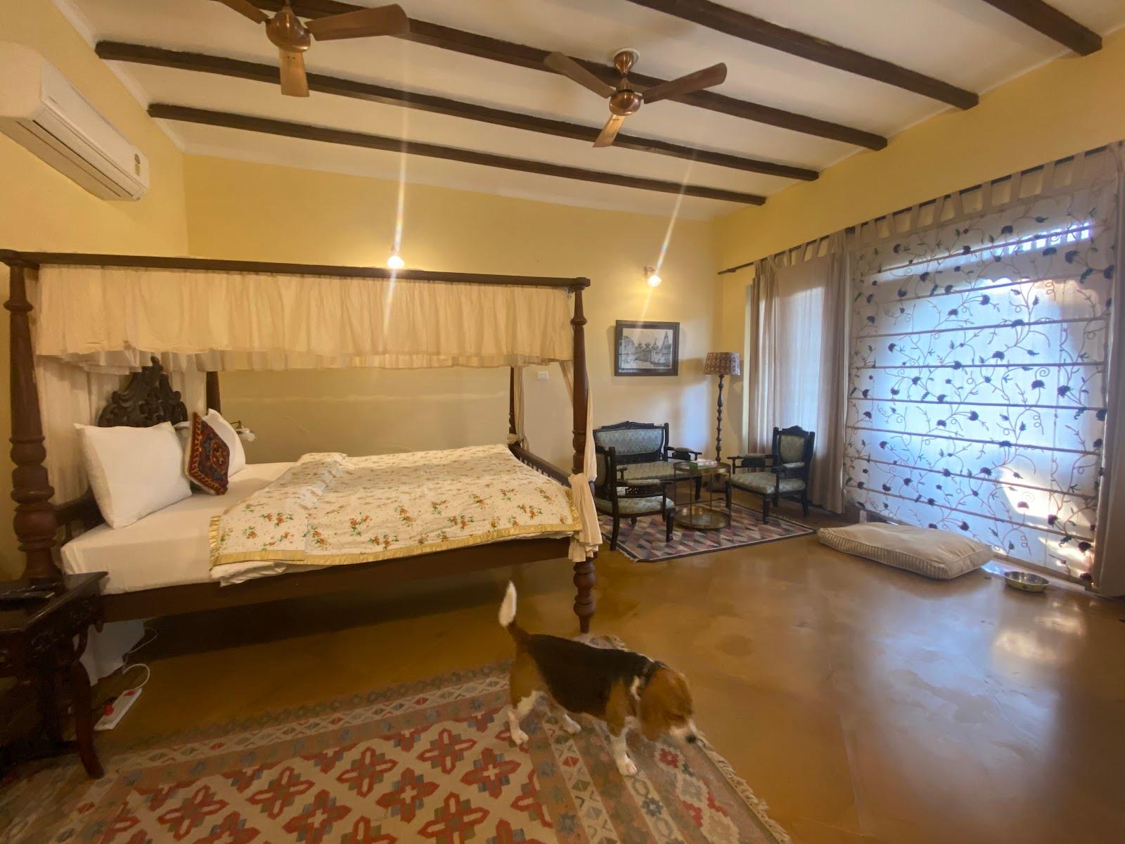Tree of Life Resort, Dehradun Foothills – photo 3