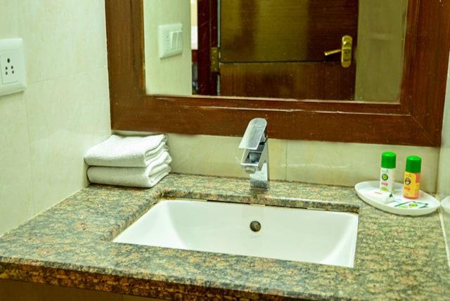 Hotel Shyam Paradise - Best hotel in jaipur – photo 3