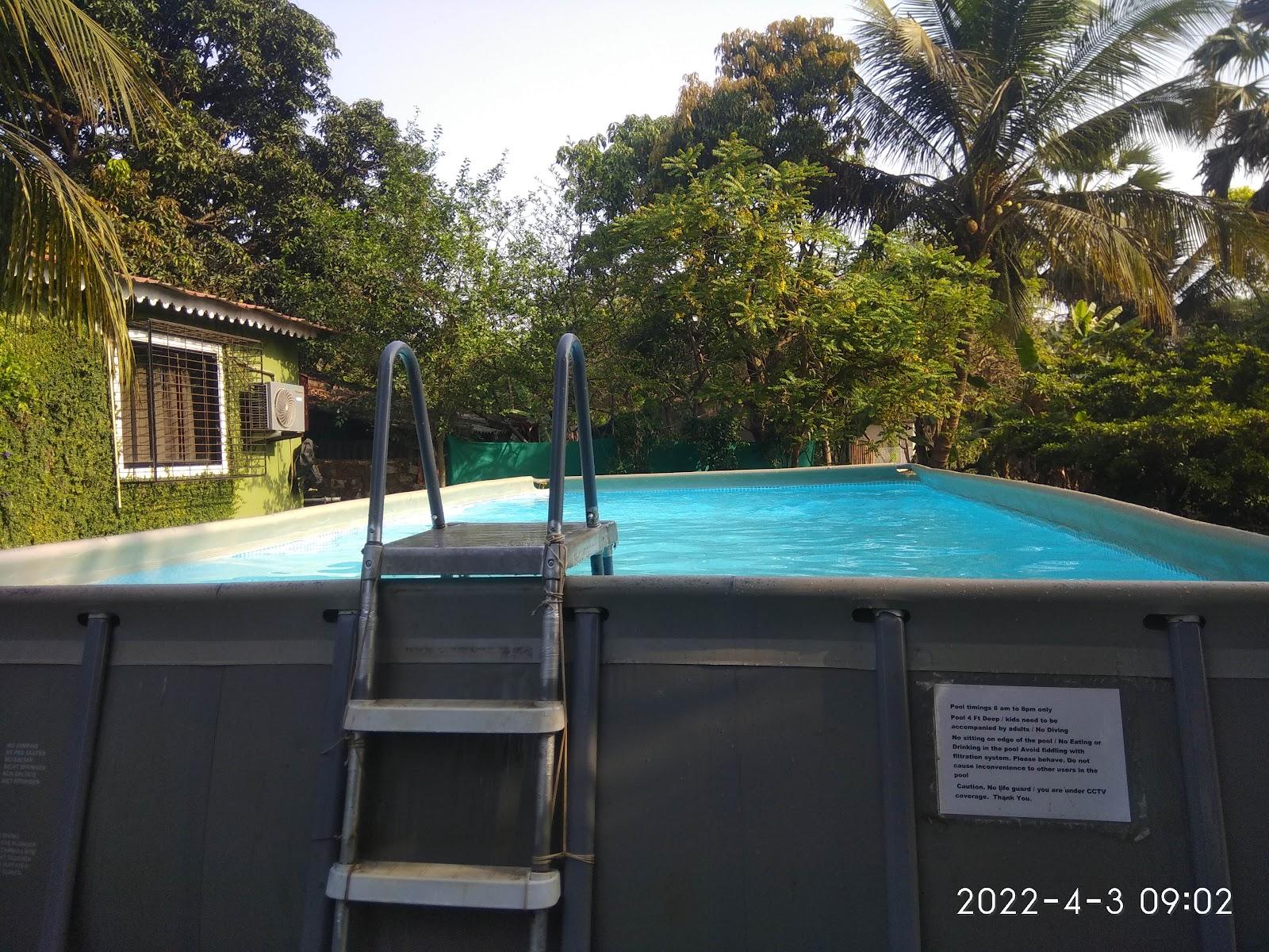 Sun and Shade Farm Resort – photo 4