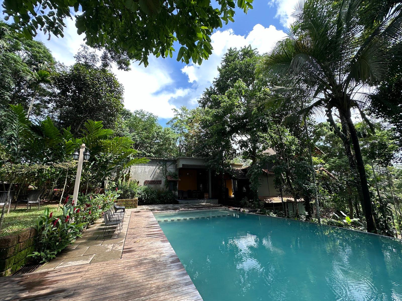 Willow Resorts – photo 4