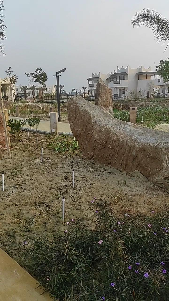The Fern Sattva Resort, Little Rann of Kutch – photo 2