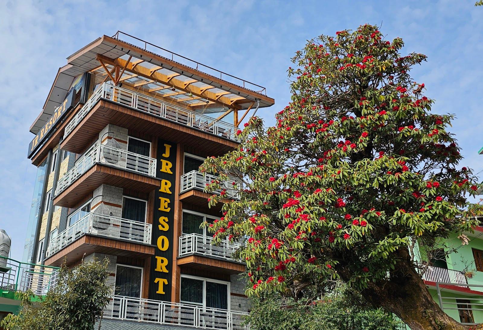 Alt Life - Luxe | Upper Bhagsu (Mcleodganj)
