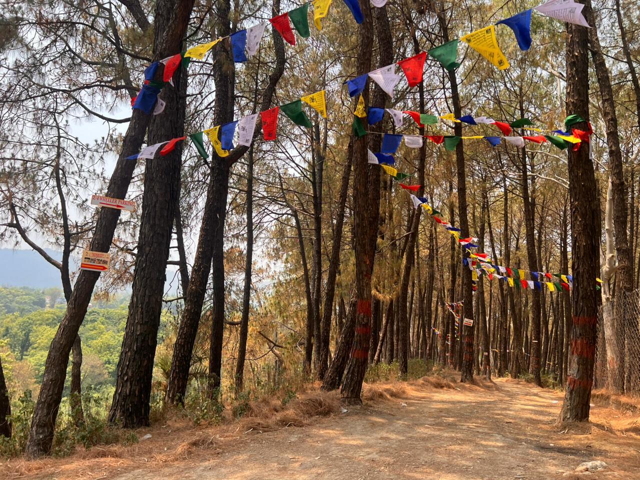 Tathastu Retreat Bir – photo 4