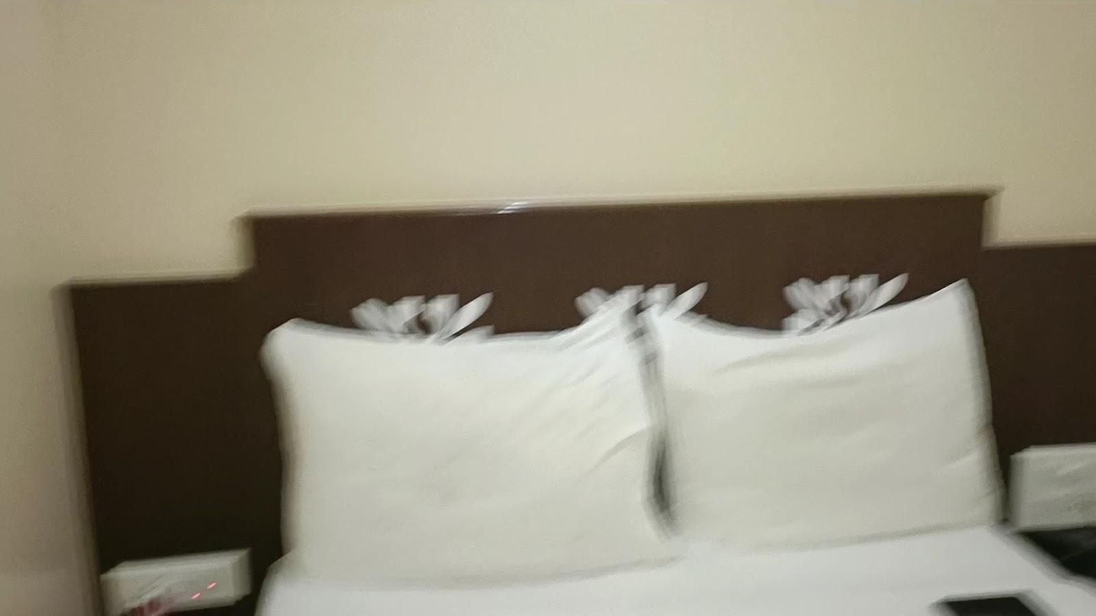 City Guest House – photo 2