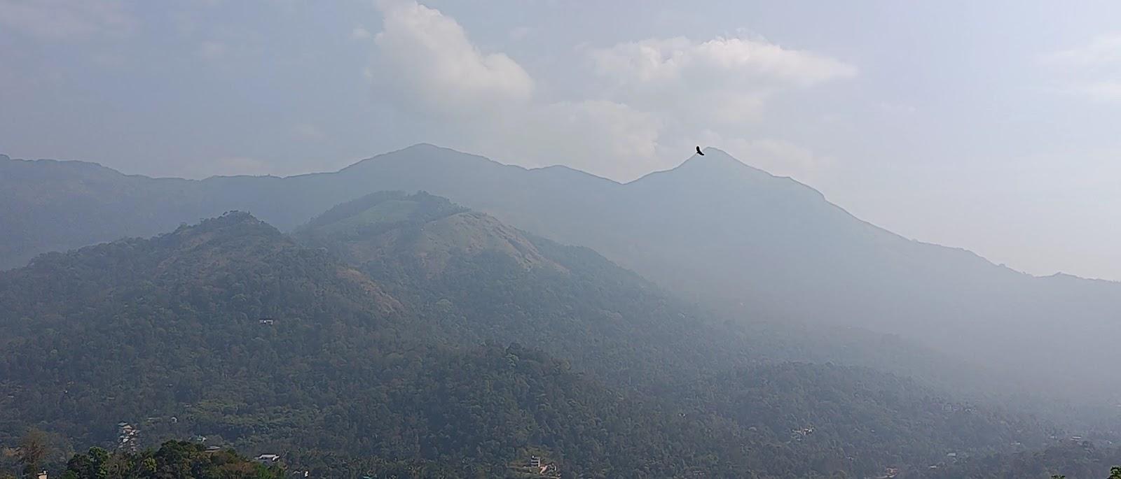 The View Munnar by Maat Hotels – photo 2