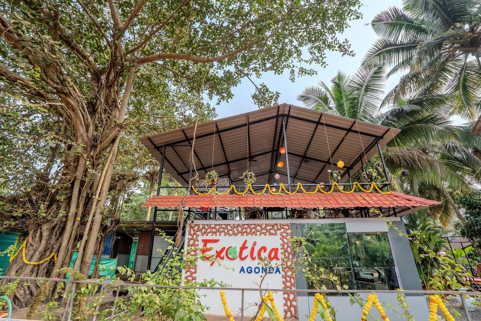 The Exotica Agonda