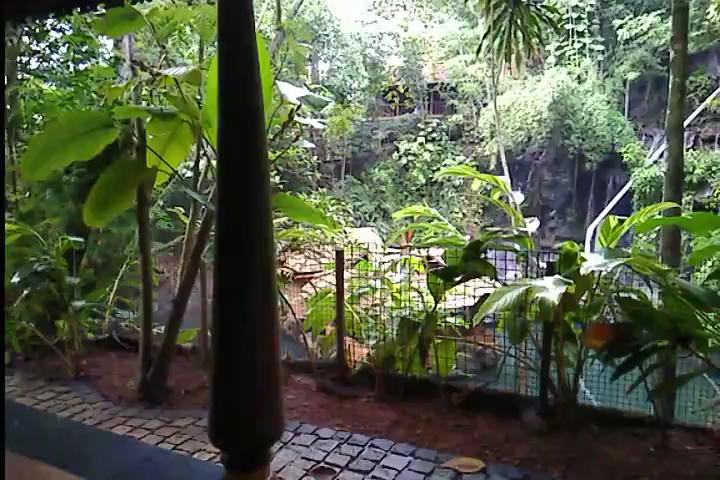 Rain Forest Ayur County Resort – photo 2