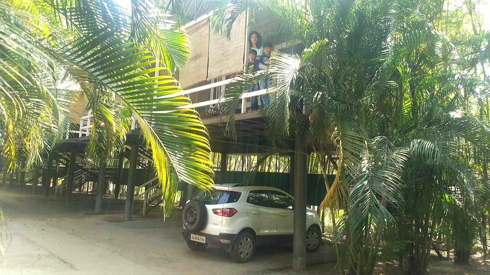 Wayanad Hotels & Resorts – photo 3