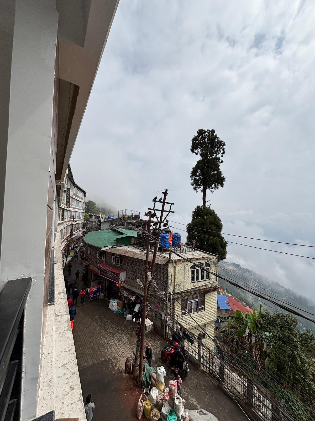 Native Darjeeling – photo 4