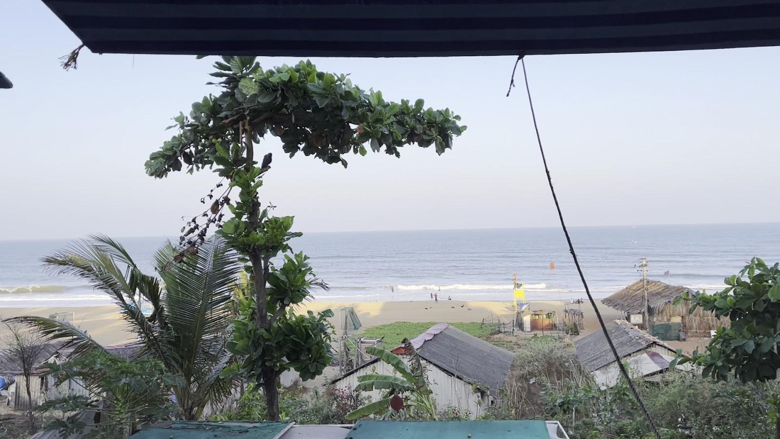 Delta House Horizon View – photo 2
