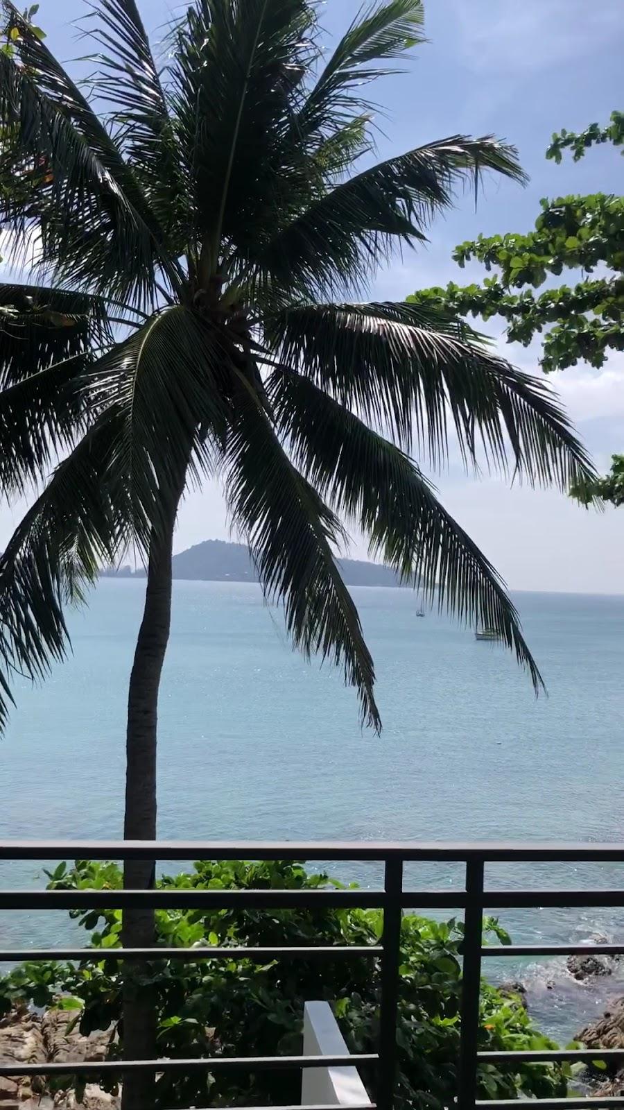 Patong Sunset Villa – photo 2
