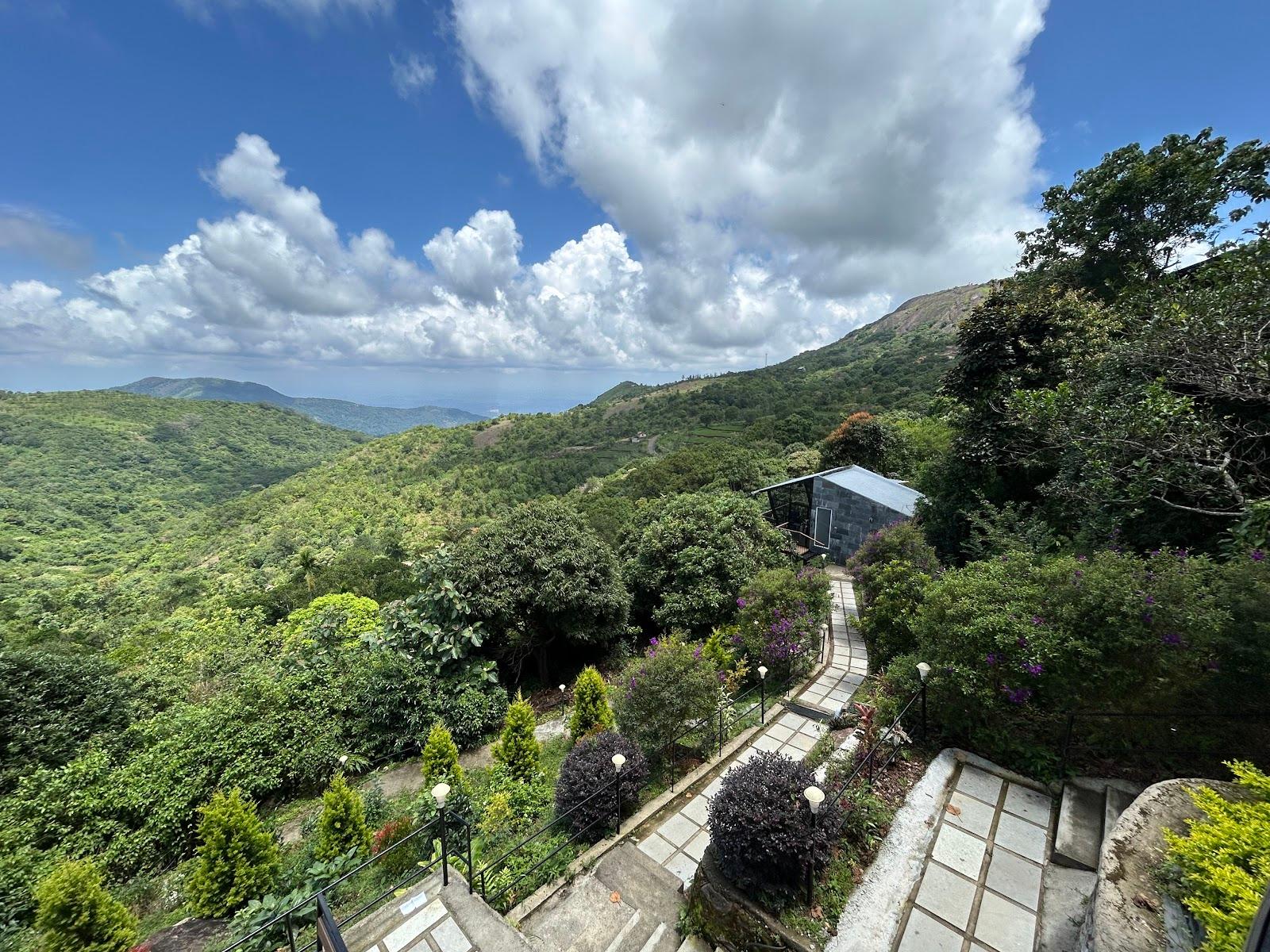 Pan Haven – photo 2