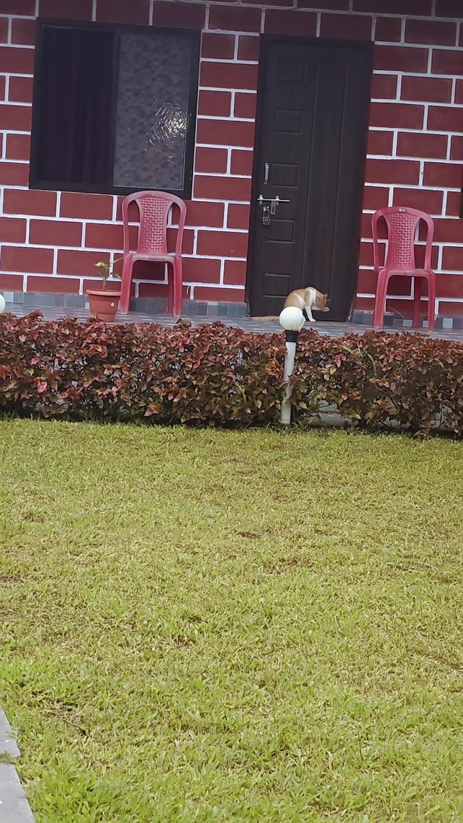 DANDELI CROCODILE EDGE HOME STAY – photo 2