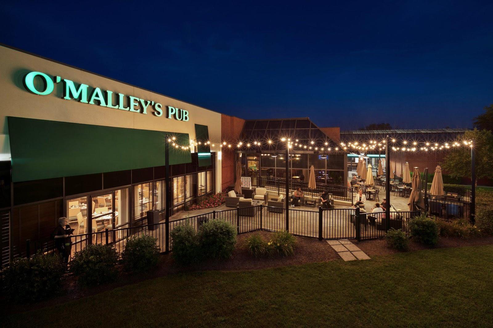 Holiday Inn Washington-Dulles Intl Airport by IHG – photo 1
