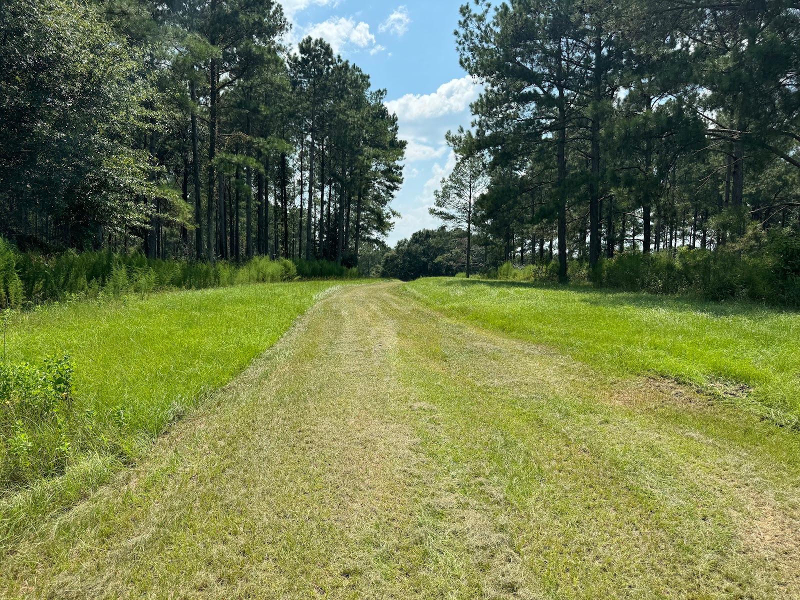 Pondview Acres Campground – photo 3