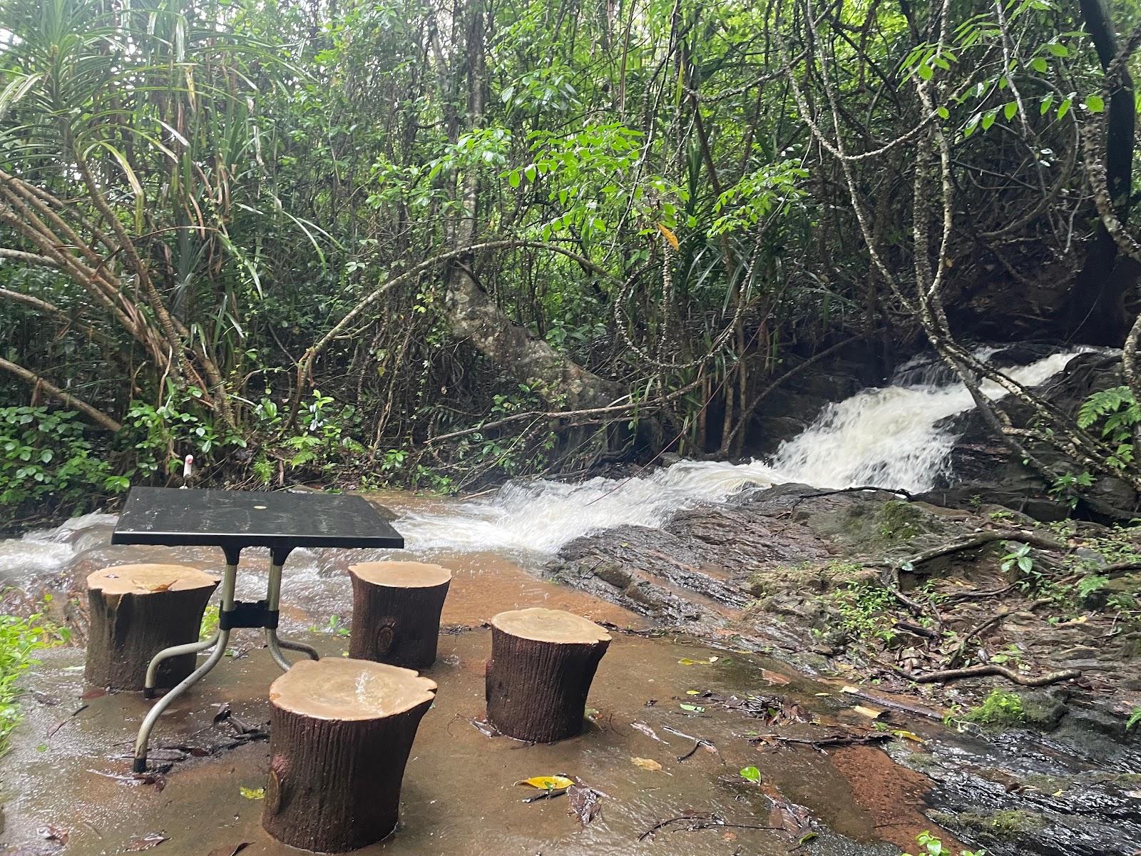 Ibnisprings Chalets Madikeri Coorg – photo 4