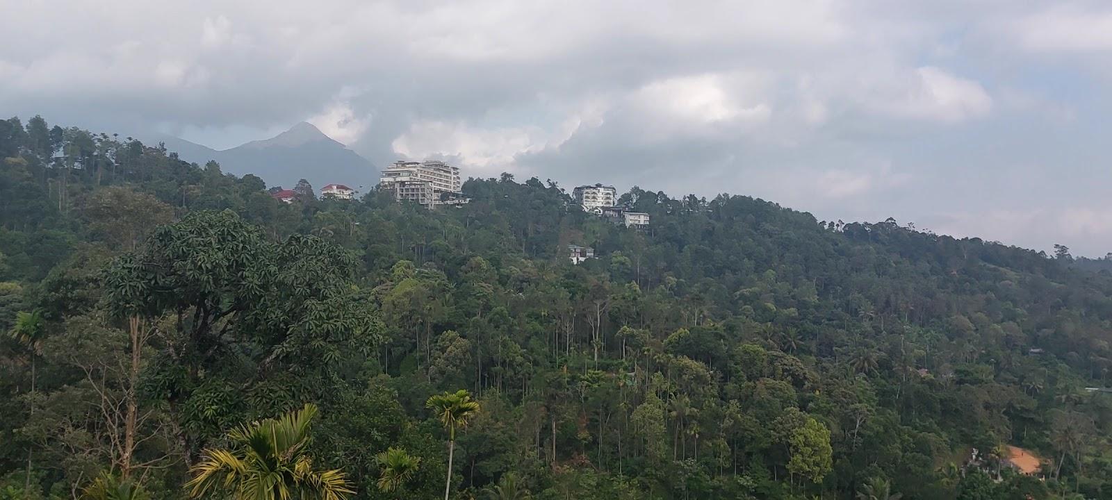 The Arbour Resort Munnar – photo 2