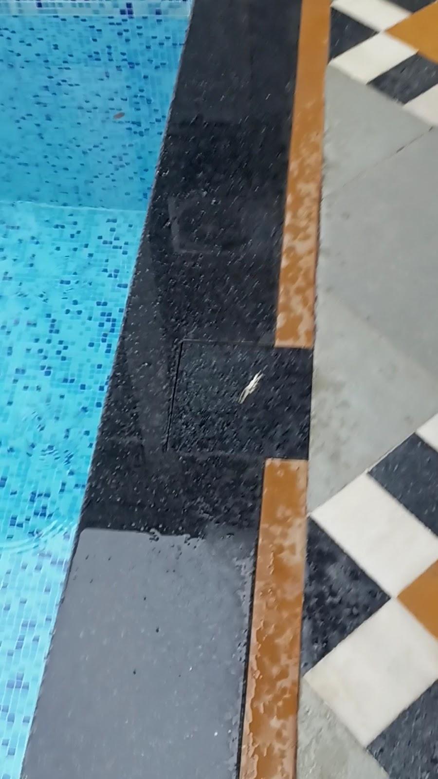 Yasho Villa – photo 2