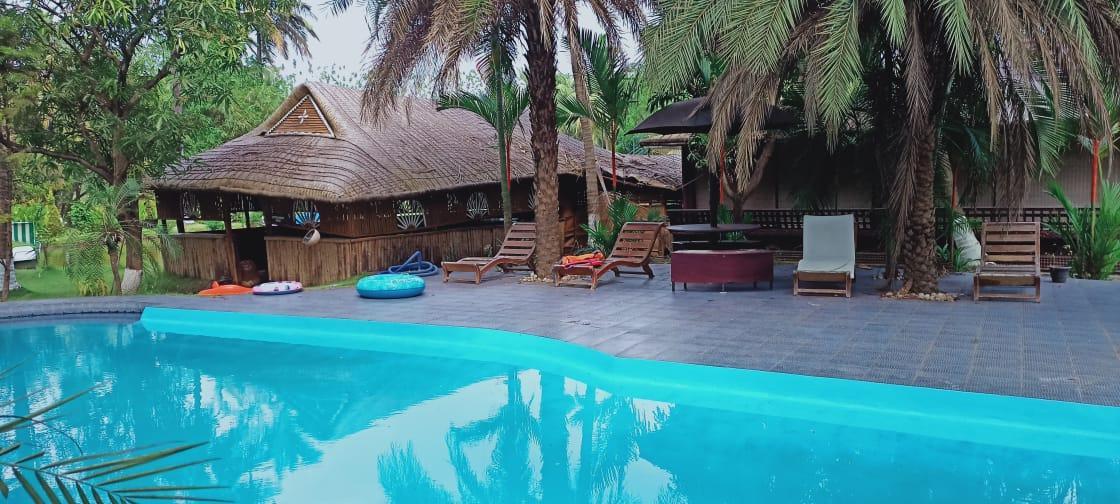 Mango County Resort – photo 4