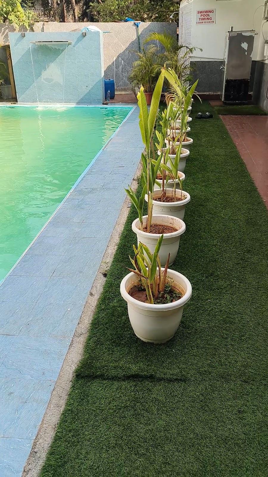 Treebo Clarissa Resort With Swimming Pool – photo 2