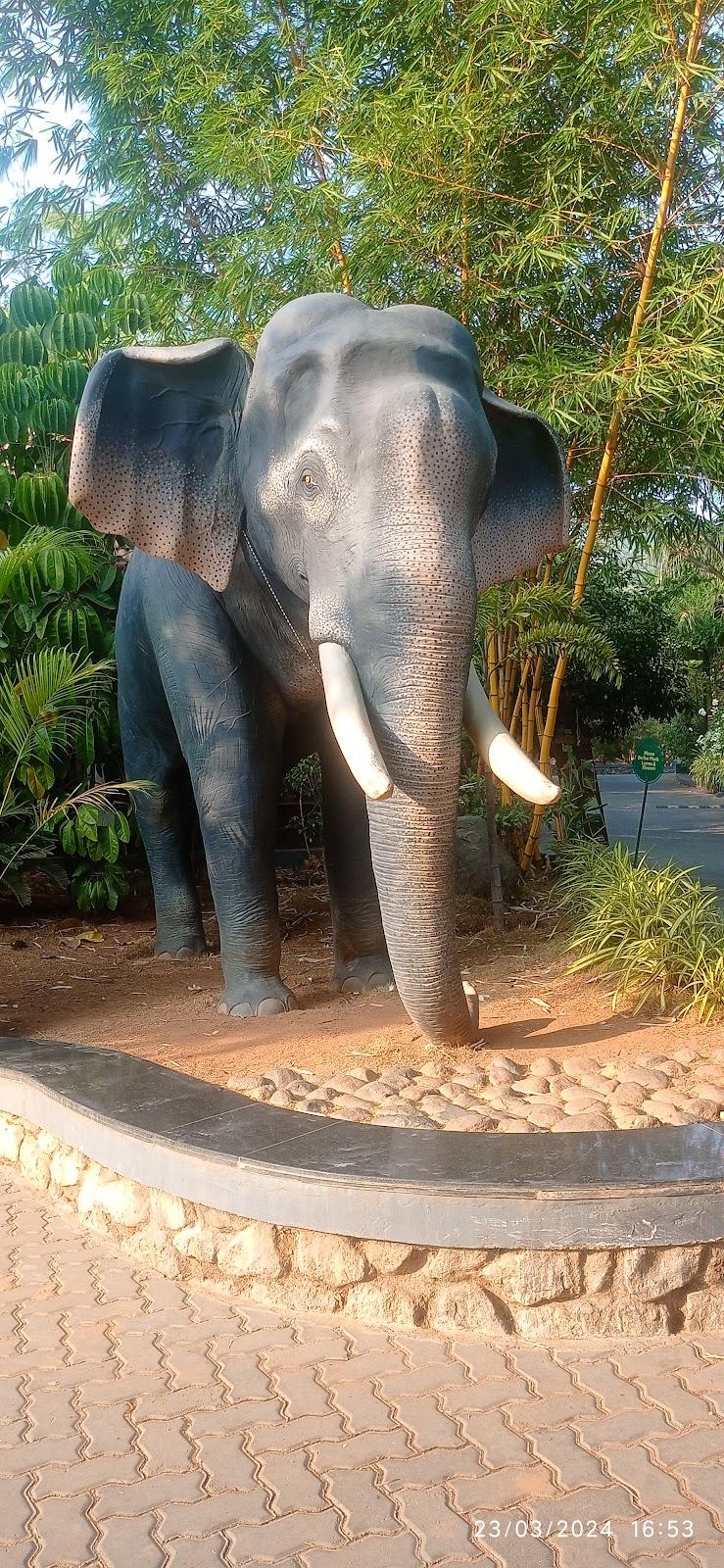 SR Jungle Resort- Corporate Office – photo 4