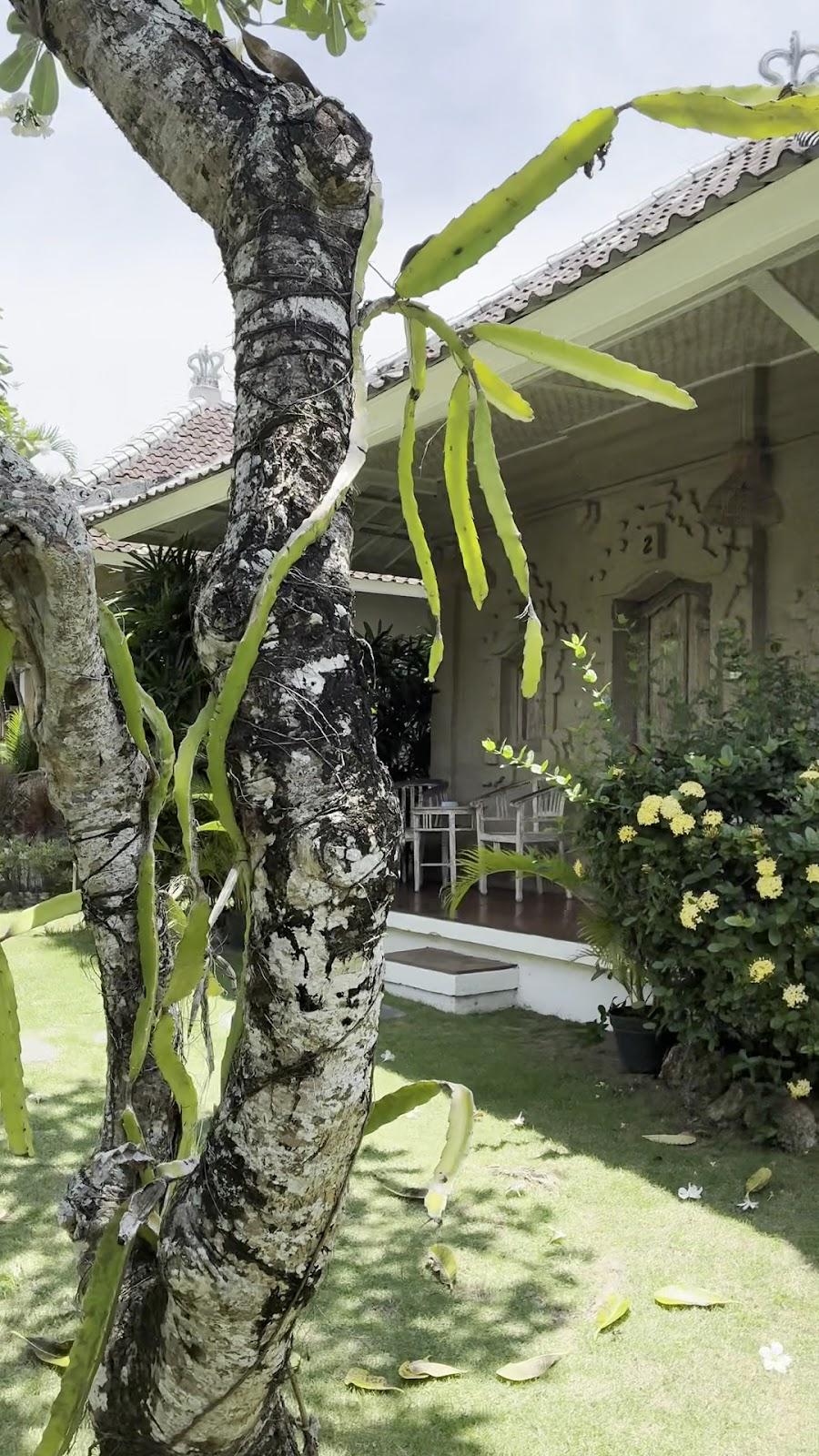 Alamanda villas – photo 2