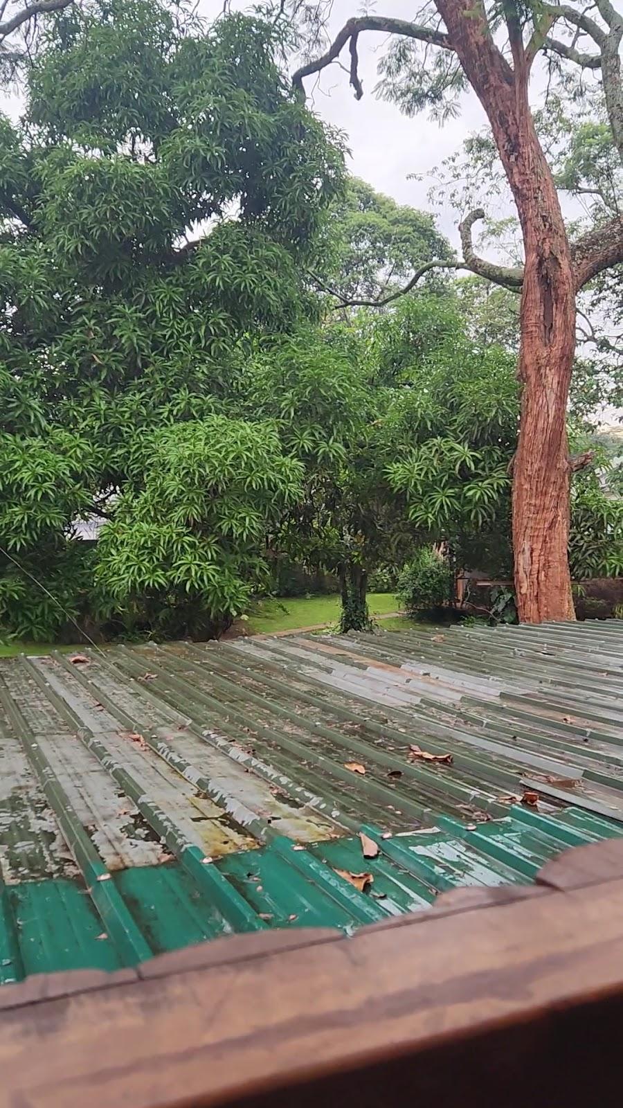 Jinja Backpackers – photo 3