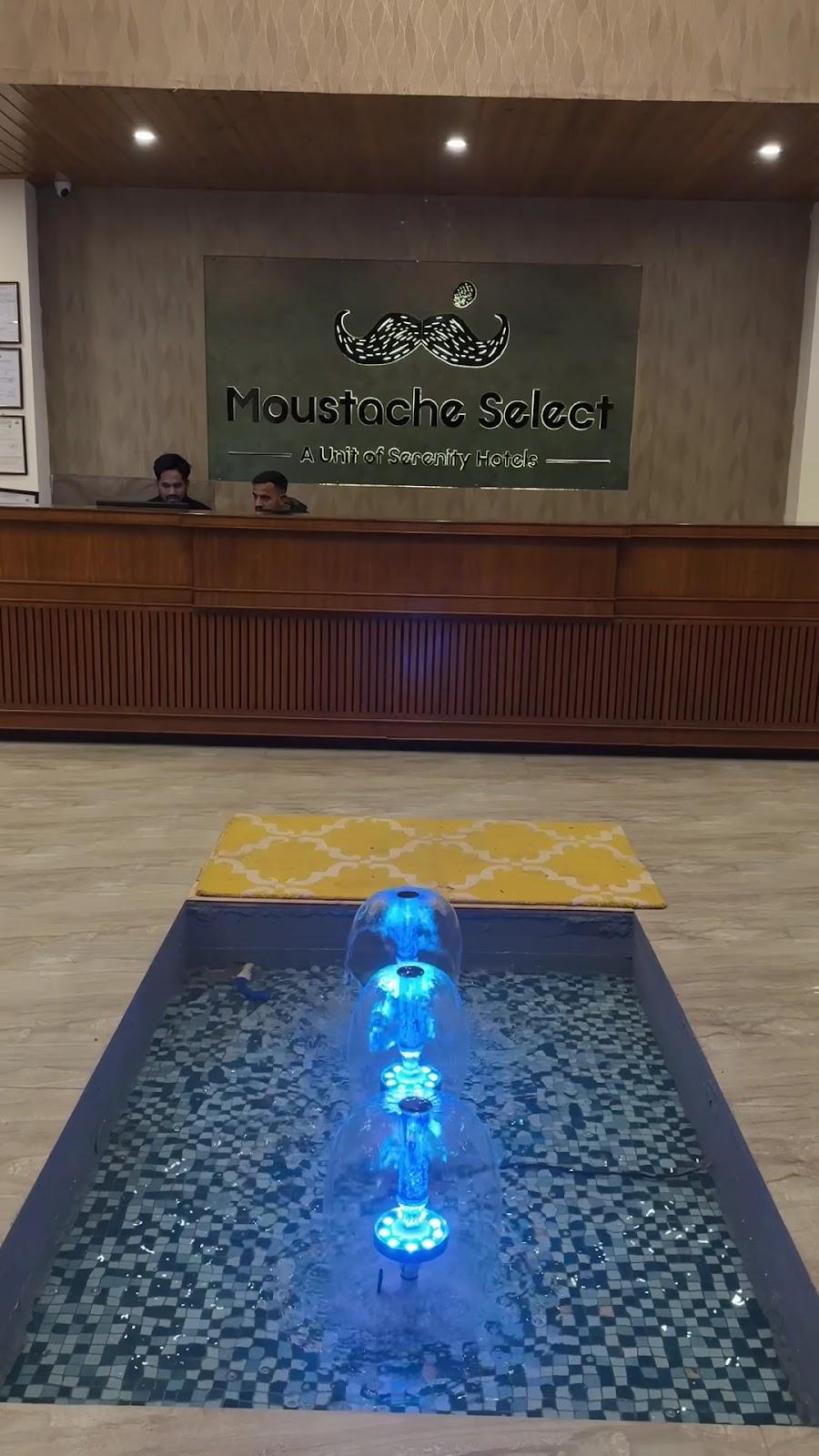 Moustache Select Manali – photo 4