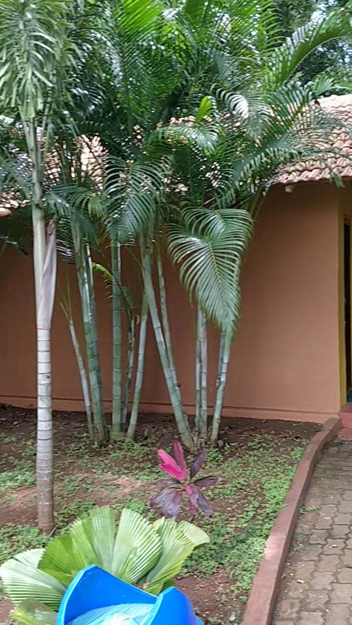 Kabini Lake View Resort – photo 2