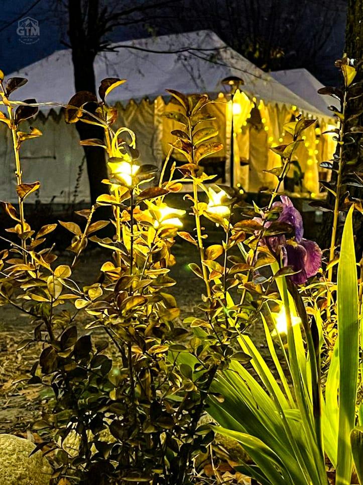 GTM Manali River Cottages – photo 1
