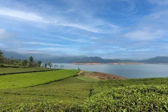 Emerald By Nature Resorts and Stays – photo 4