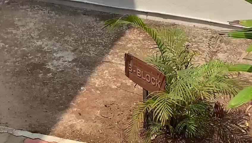 Coorg Heights Resort – photo 2