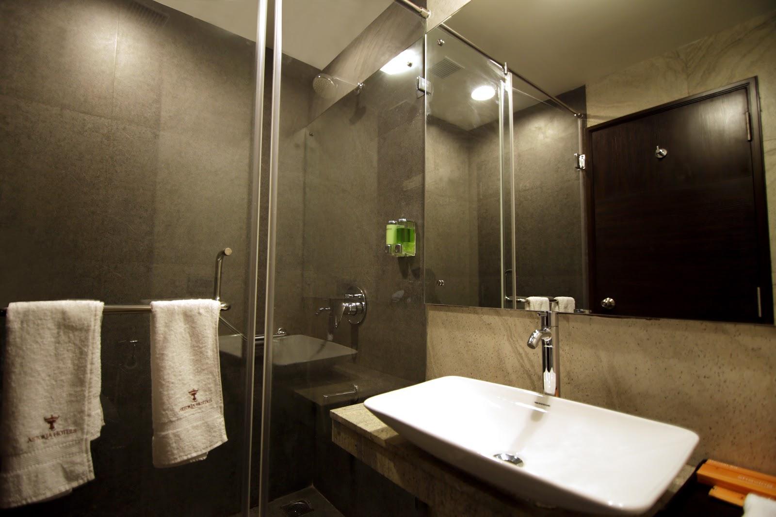 Astoria Hotels – photo 4