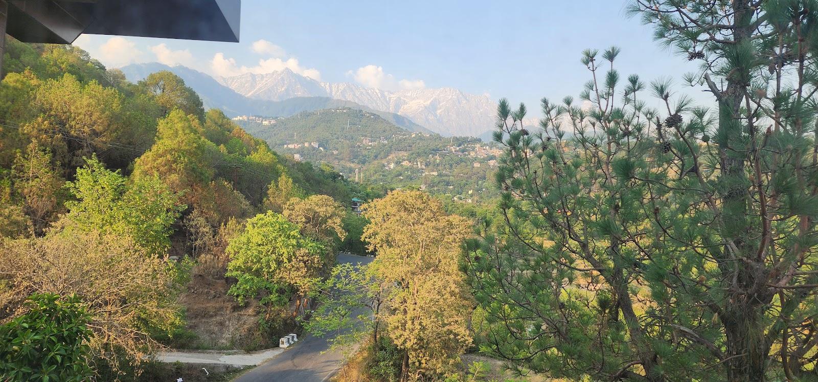 Hotel Pine View - Hotel In Dharamshala – photo 4