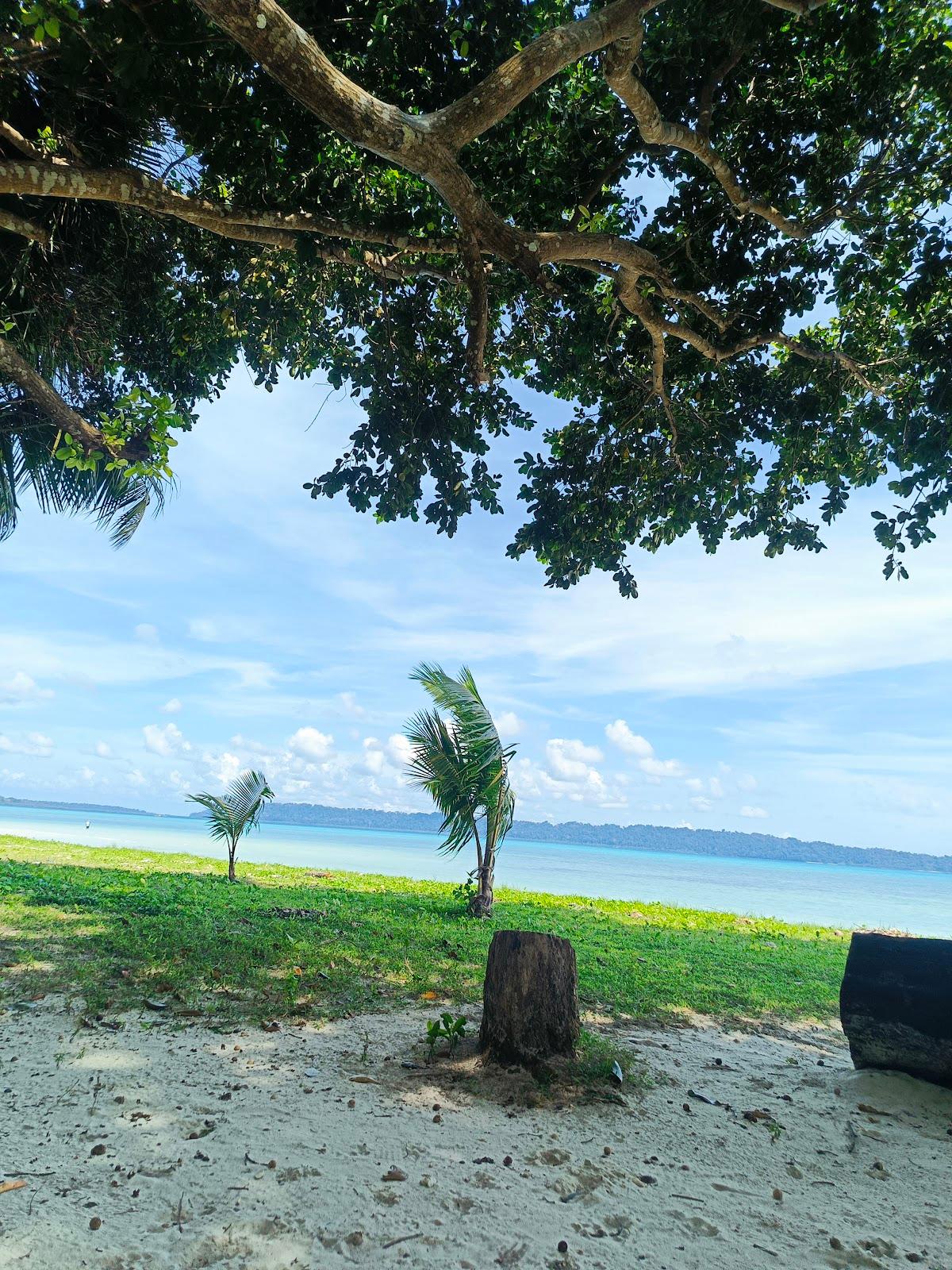 Dolphin beach resort – photo 4