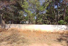 Forest guest house – photo 3