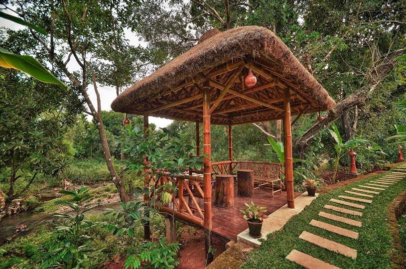 Wild Woods Resort