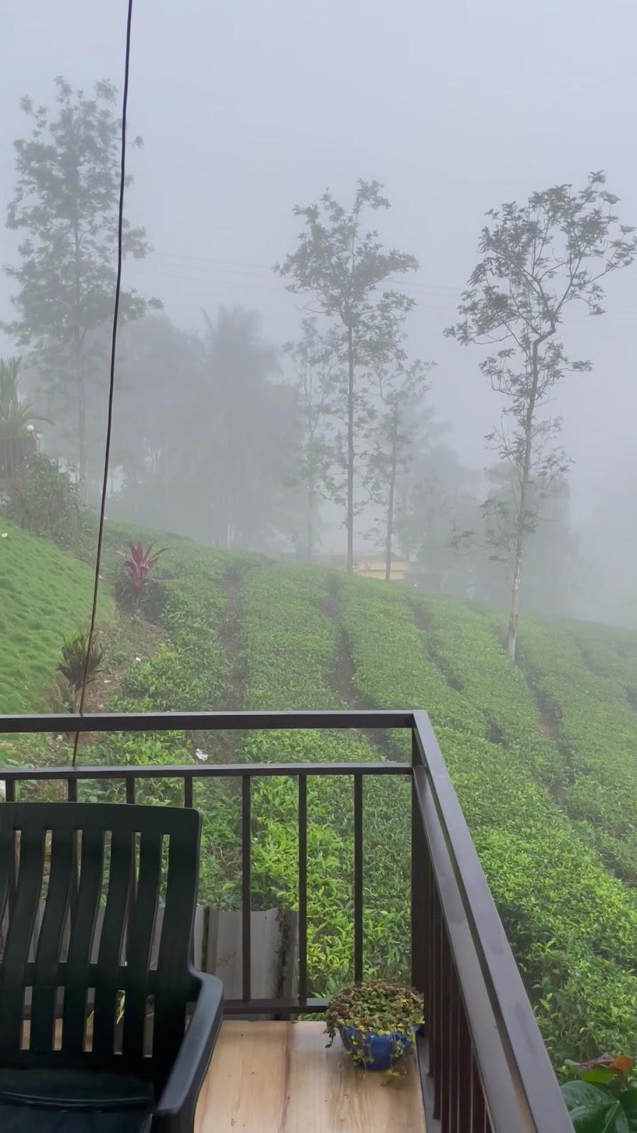 Vythiri Hill Palace Resort by Livora – photo 2
