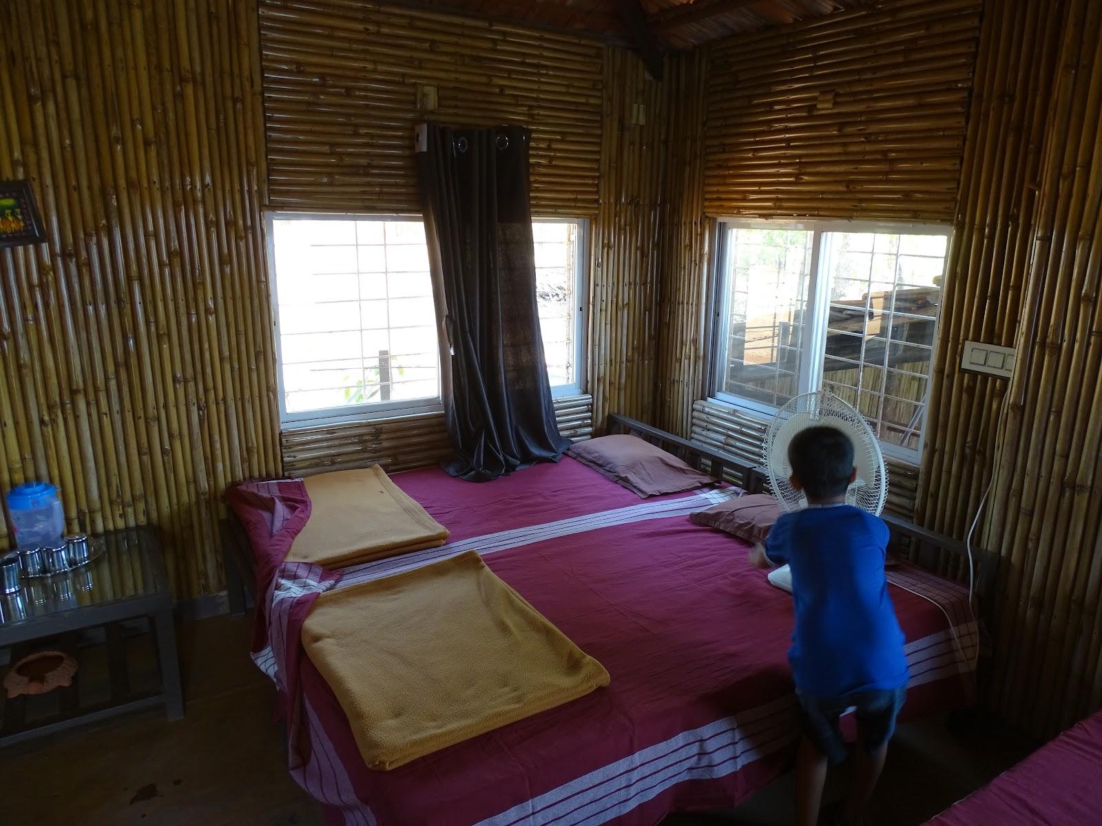 Ananddoh Nature Resort – photo 2