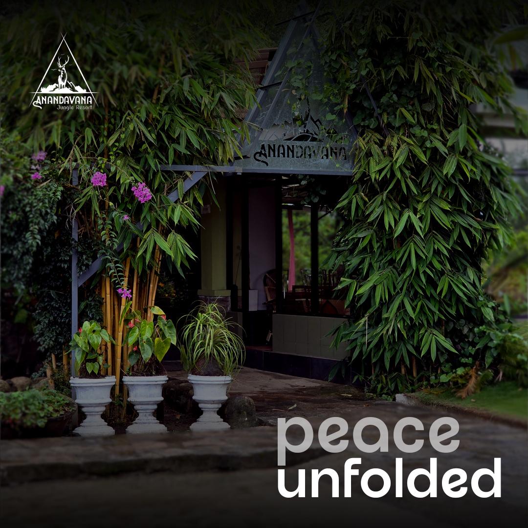 Anandavana Jungle Resort Kanthalloor-Marayur – photo 4