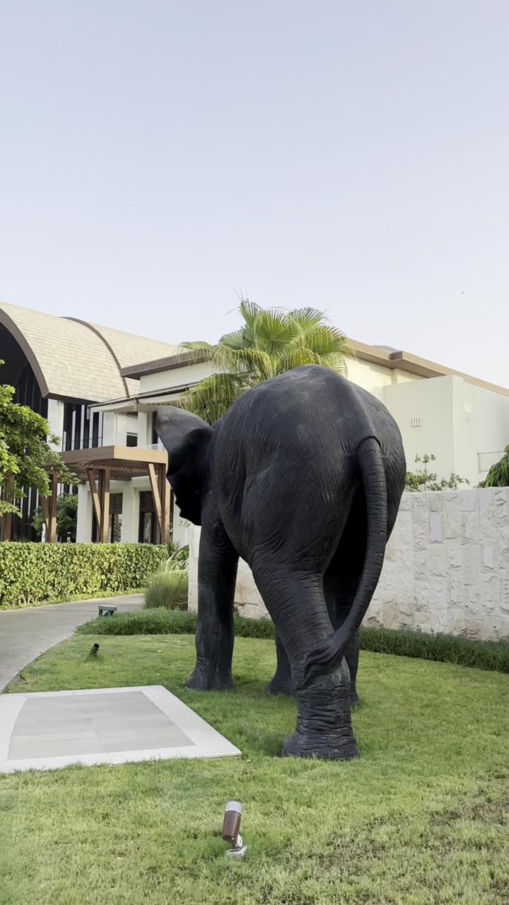 Anantara Mina Ras Al Khaimah Resort – photo 2