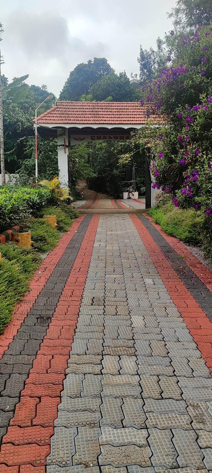 Chalona munnar – photo 2